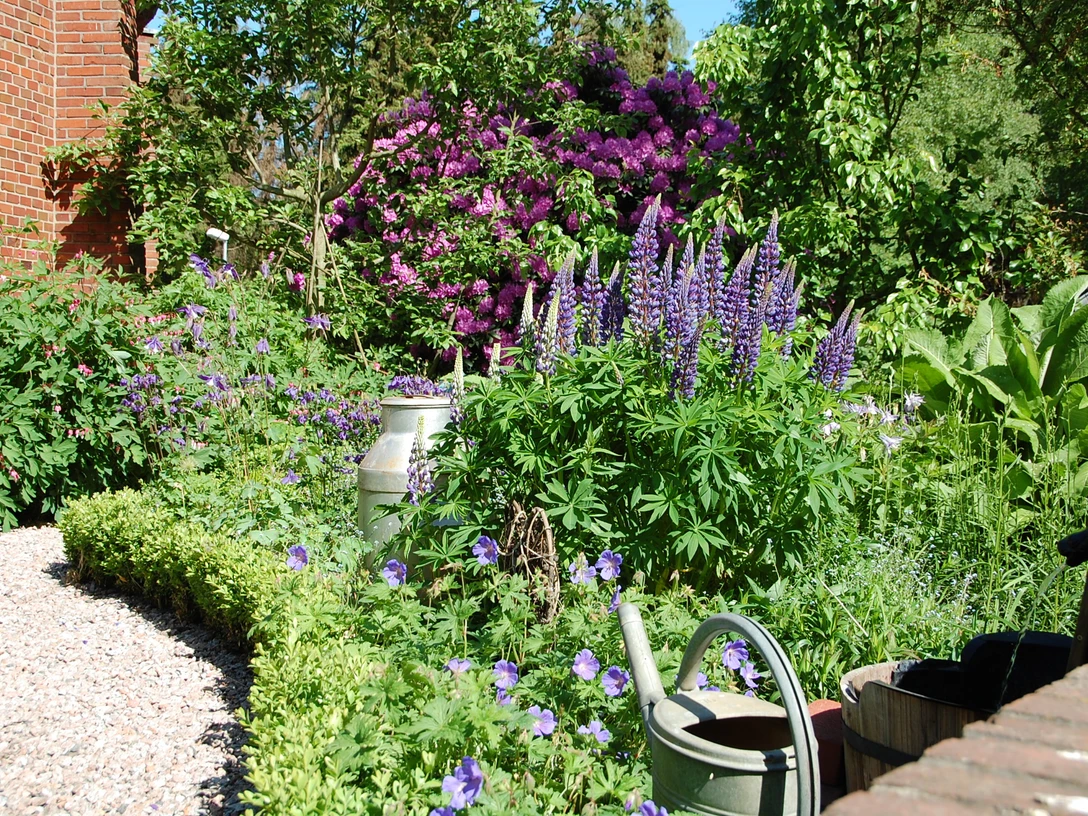 DSC_0048 (2018_01_09 16_53_59 UTC).JPG