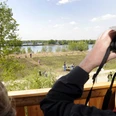 Vogelbeobachtungsturm am Bargerveen in Twist ©Naturpark Moor-Veenland (29).jpg Mann beobachtet mit Fernglas vom Holzturm Menschen und Landschaft am See im Naturpark Moor-Veenland