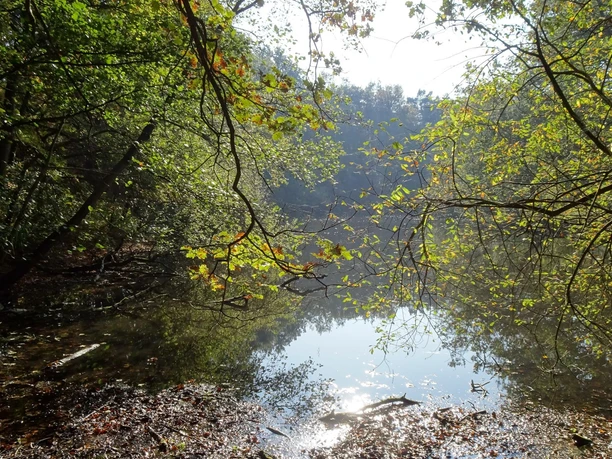 JuttaOver_Hasetal_bei_Doergen (2).jpg