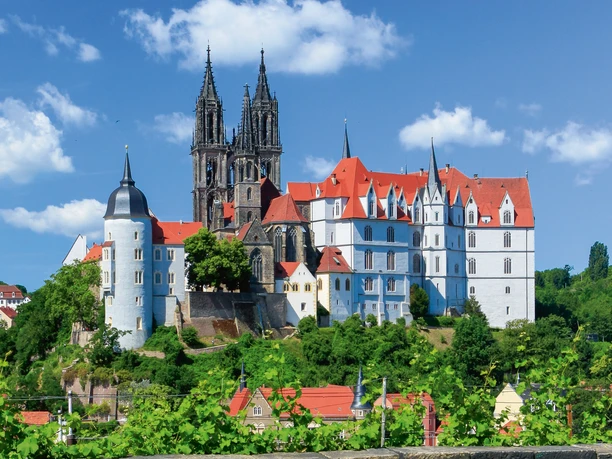 Blick zur Burg_Daniel Bahrmann.jpg