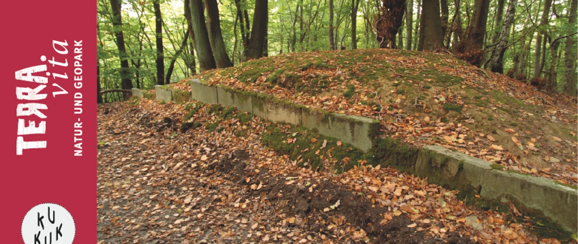 Babilonie-Eine Vorrömische Waldburganlage