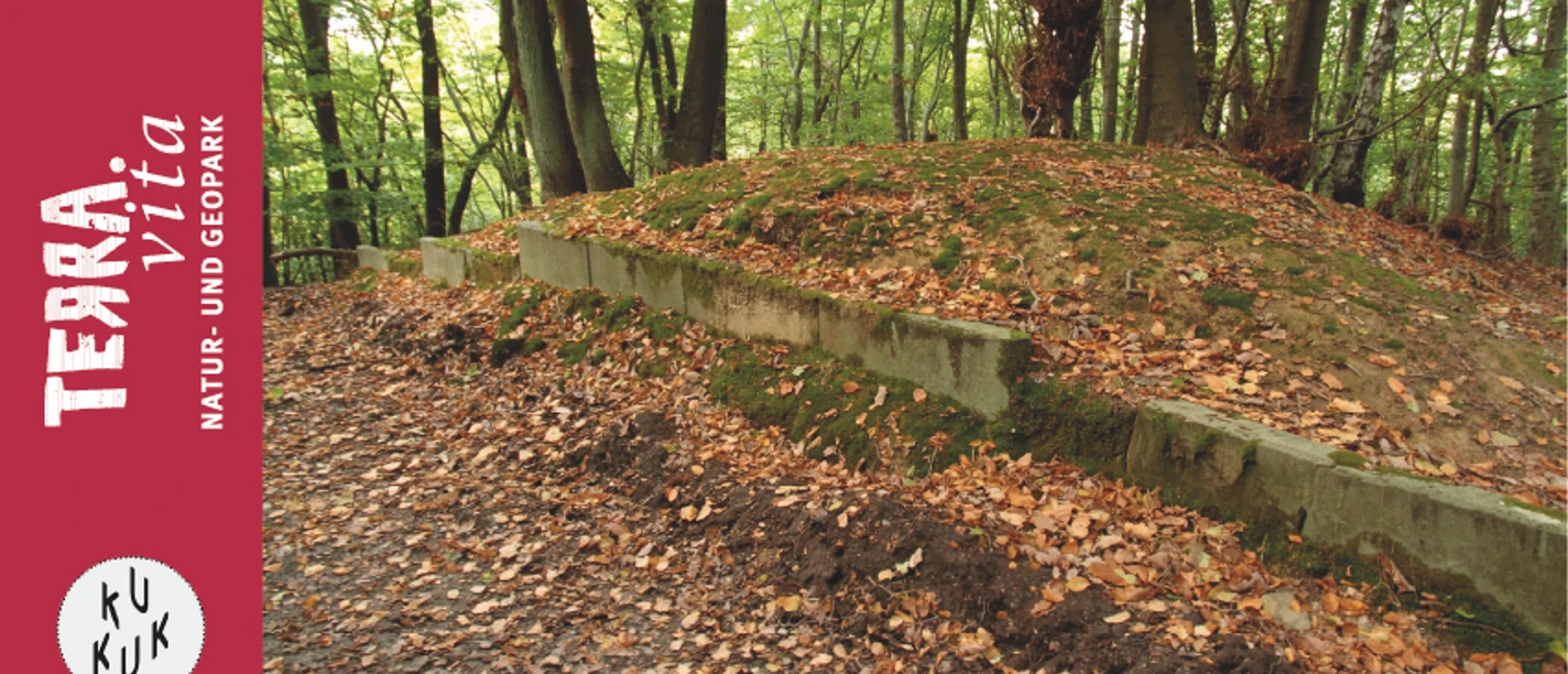 Babilonie-Eine Vorrömische Waldburganlage