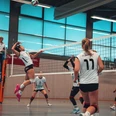 VfL_Geesthacht_Volleyball_MVDC