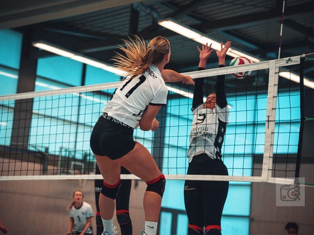 VfL_Geesthacht_Volleyball_MVDC
