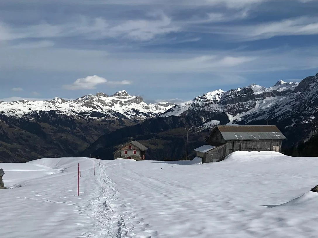 Schneeschuhtrail Brüsti