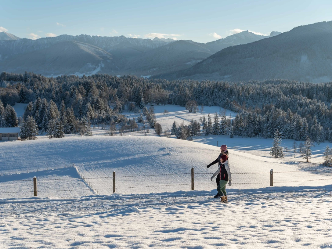 Rodeln + Winterwandern web_www.bauerphiotography (7).jpg