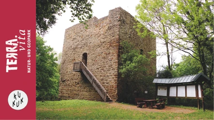 Burgruine Limberg-Besichtigung der Burgruine auf dem Limberg_Schnieders_mit Rahmen.jpg