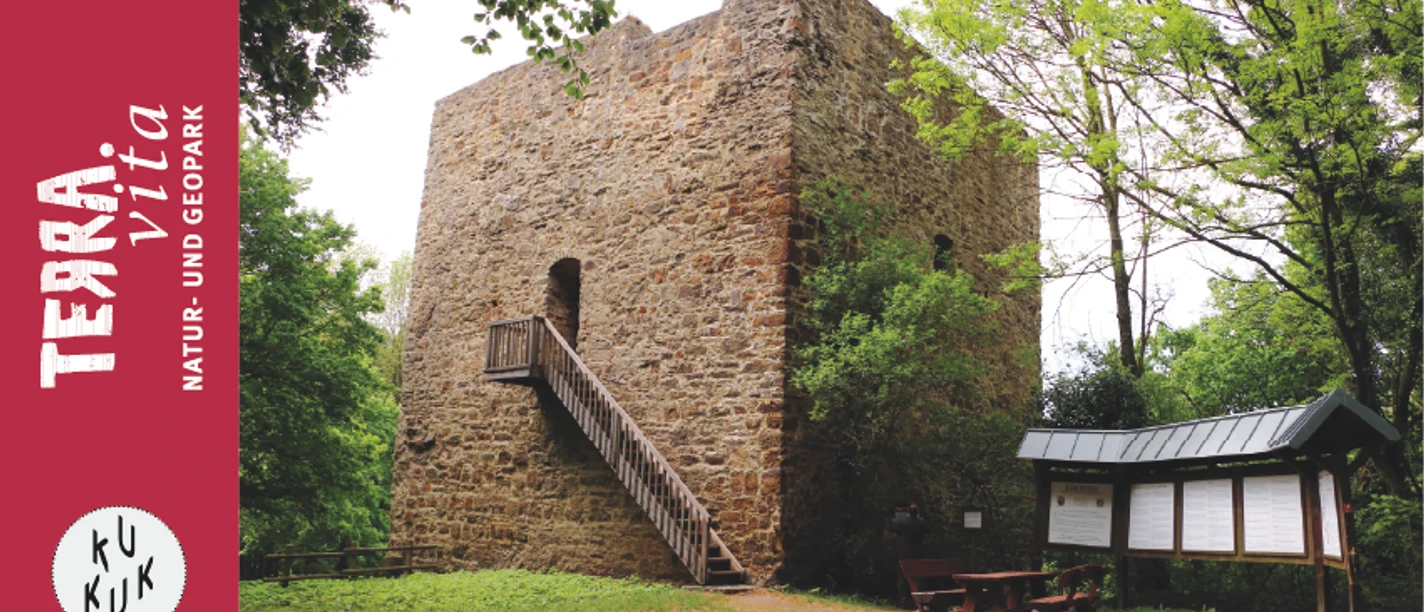 Burgruine Limberg-Besichtigung der Burgruine auf dem Limberg_Schnieders_mit Rahmen.jpg