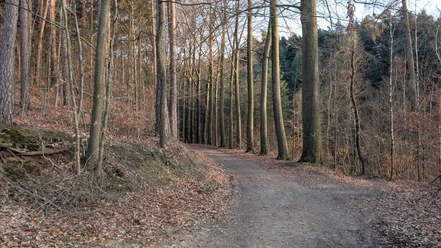 Radweg am Großen Bärenstein