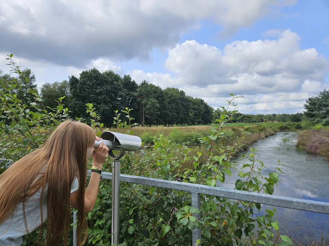 Emsland Moormuseum, Geeste – Familie unterwegs im NSG Geestmoor ©Emsland Tourismus GmbH (4).jpg Frau blickt durch ein Fernglas über das Geestmoor mit Wasserlauf, Wiesen und bewölktem Himmel