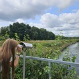 Emsland Moormuseum, Geeste – Familie unterwegs im NSG Geestmoor ©Emsland Tourismus GmbH (4).jpg Frau blickt durch ein Fernglas über das Geestmoor mit Wasserlauf, Wiesen und bewölktem Himmel