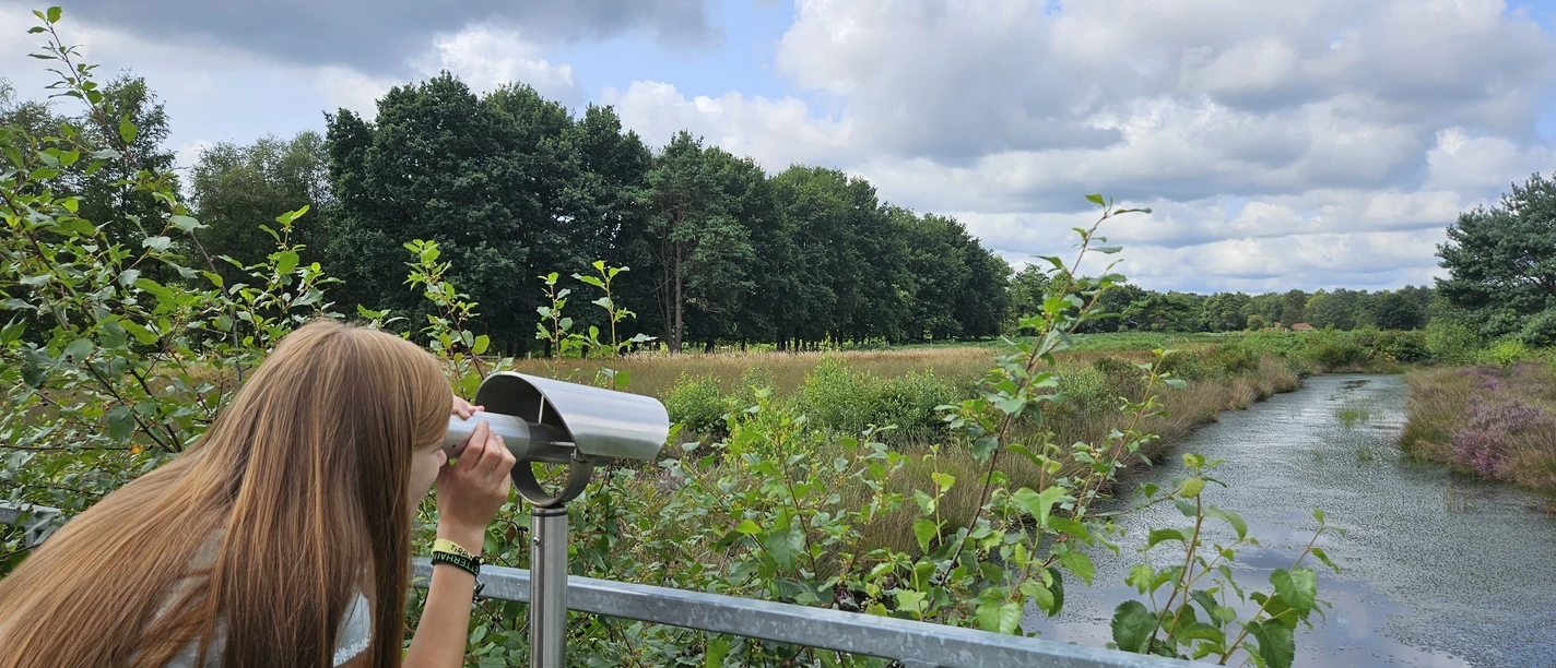 Emsland Moormuseum, Geeste – Familie unterwegs im NSG Geestmoor ©Emsland Tourismus GmbH (4).jpg Frau blickt durch ein Fernglas über das Geestmoor mit Wasserlauf, Wiesen und bewölktem Himmel