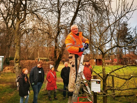 hermann Obstschnitt 2025.jpg