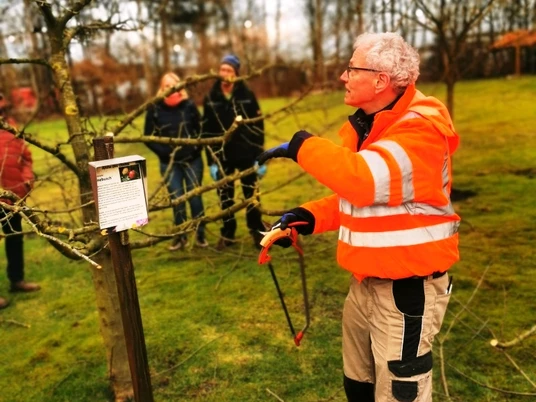 hermann mit säge.jpg