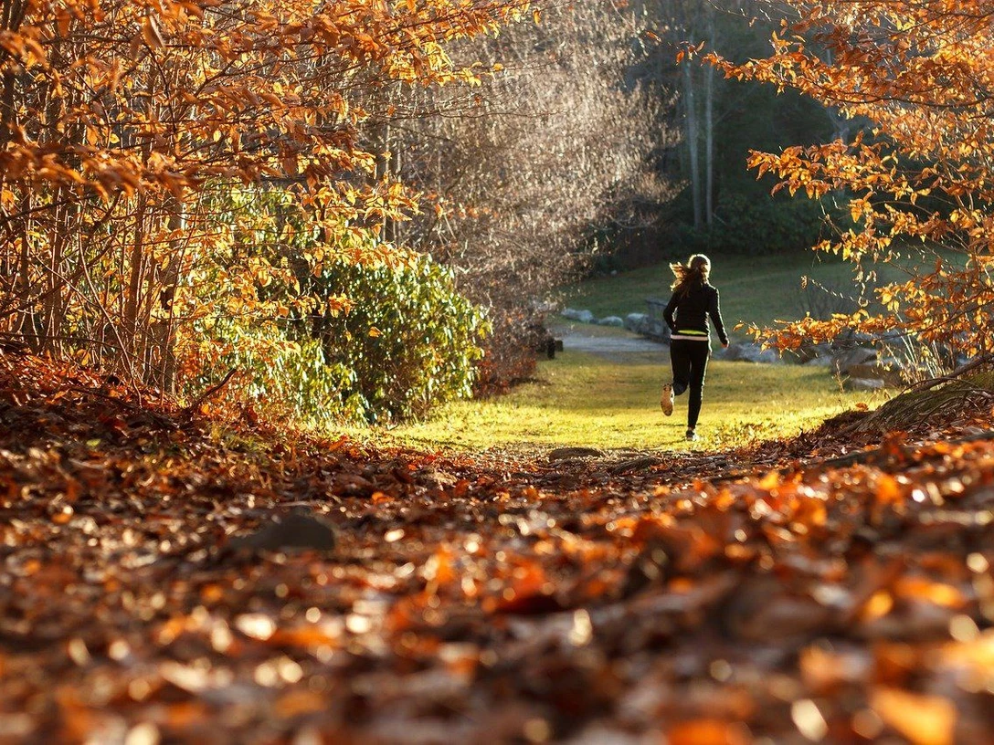 Waldlauf Läuferin auf herbstlichem Waldweg, umgeben von goldenem Laub und warmem Sonnenlicht