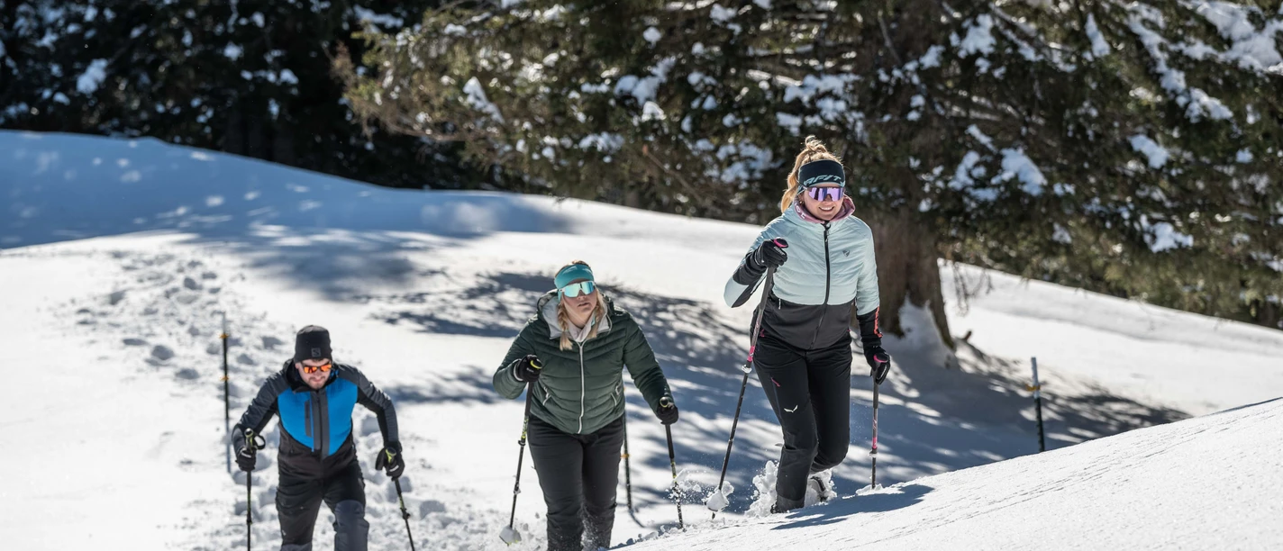 Schneeschuhwandern Naturpark Ammergauer Alpen