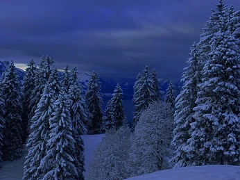 Screenshot 2025 12 22 163811