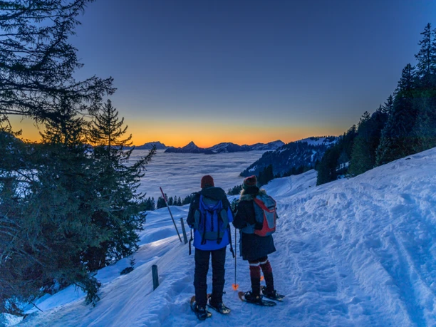 Screenshot 2025 12 22 161512