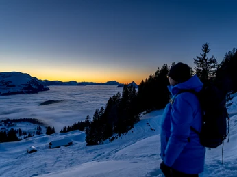 Screenshot 2025 12 22 161555