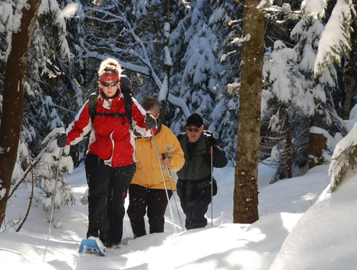 Screenshot 2025 12 22 164642