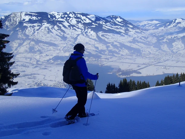 Screenshot 2025 12 22 164705