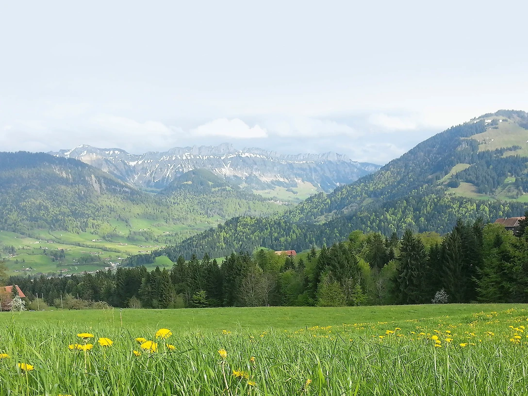 © Biosphäre Markt AG