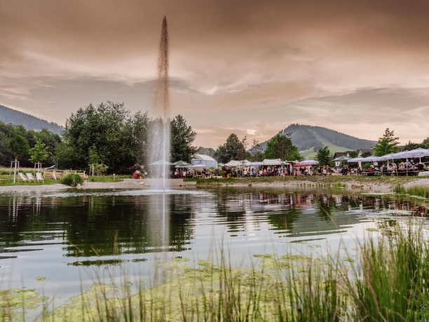Schelklewiesenweiher in Baiersbronn
