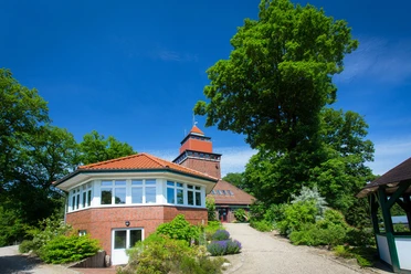 waldmuseum