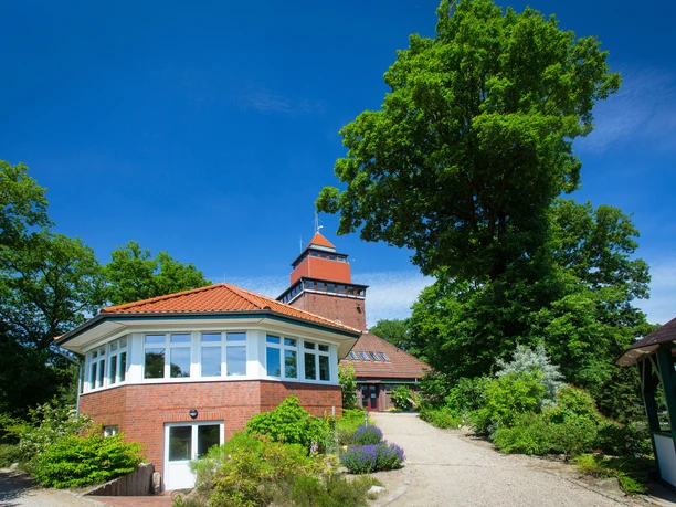 waldmuseum