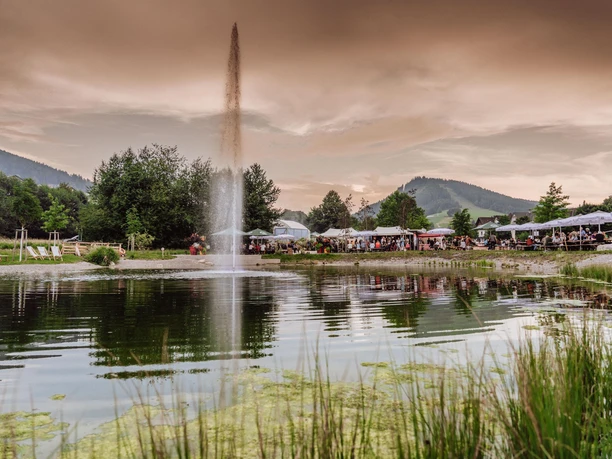 Schelklewiesenweiher in Baiersbronn