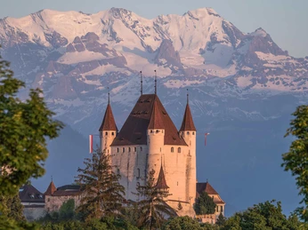 schloss-thun-baeume-berge.jpg