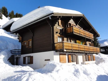 Chalet Winter