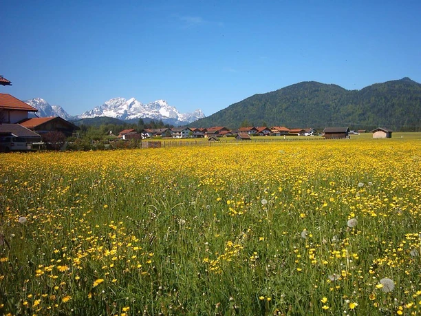 Gästehaus Birkengarten Krün Blick vom Balkon