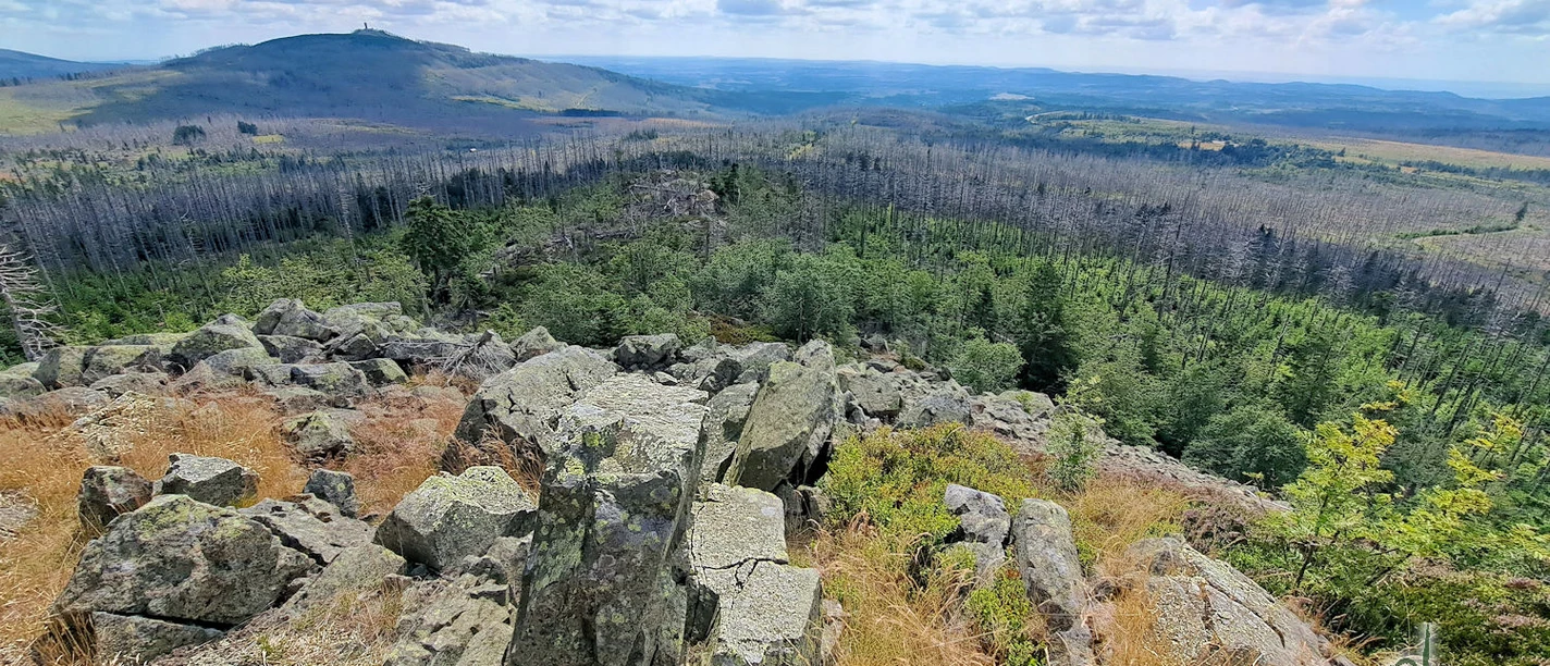 Harz-Blockhalde