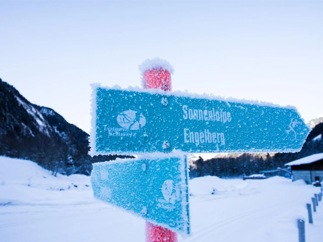 171207_Langlauf_Talloipe (35)_preview