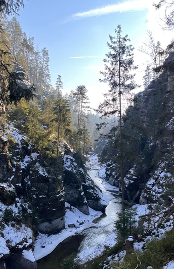 Kirnitzschtal im Winter