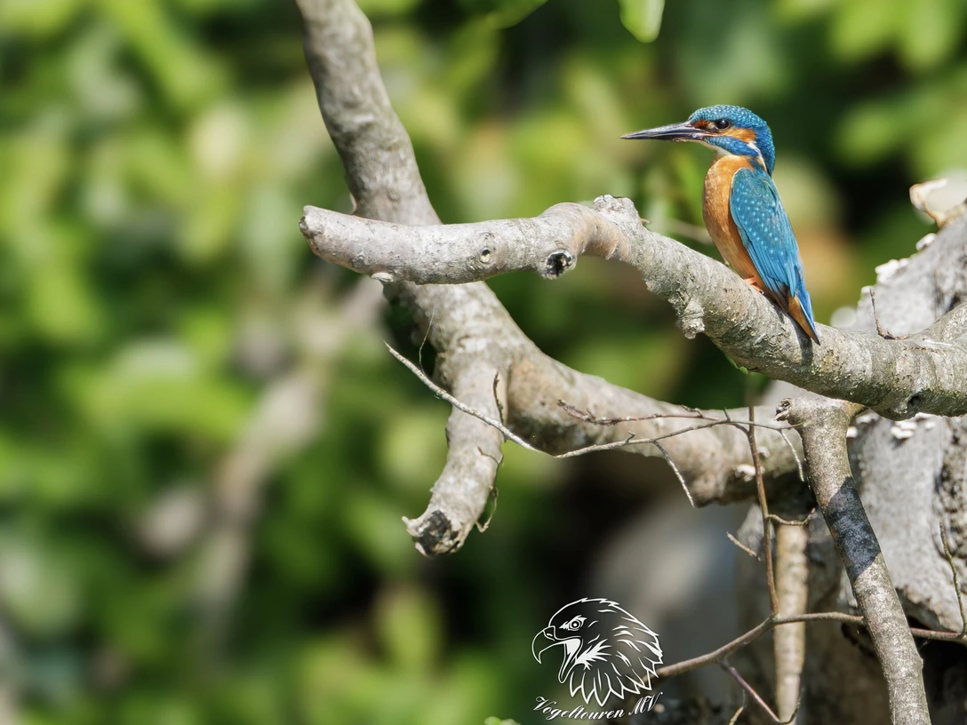 8C5A1649-Verbessert-RR-Bearbeitet