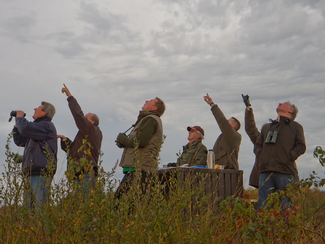 INP_EBloeming_Vogelexkursion.jpg