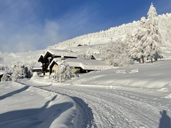 Aletschpromenade Richtung Vieux Valais