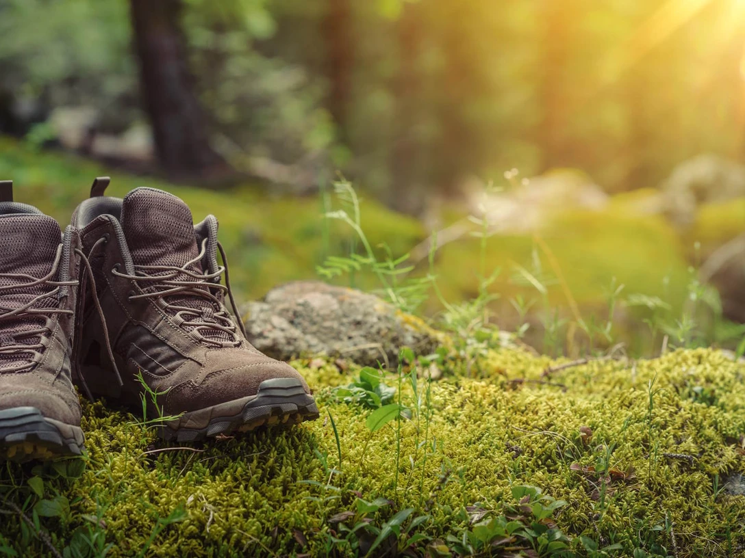 BSA_Wandern_Header_Schuhe im Wald_1920x1080©Lily_stock.adobe.com_213650248.jpg