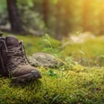 BSA_Wandern_Header_Schuhe im Wald_1920x1080©Lily_stock.adobe.com_213650248.jpg