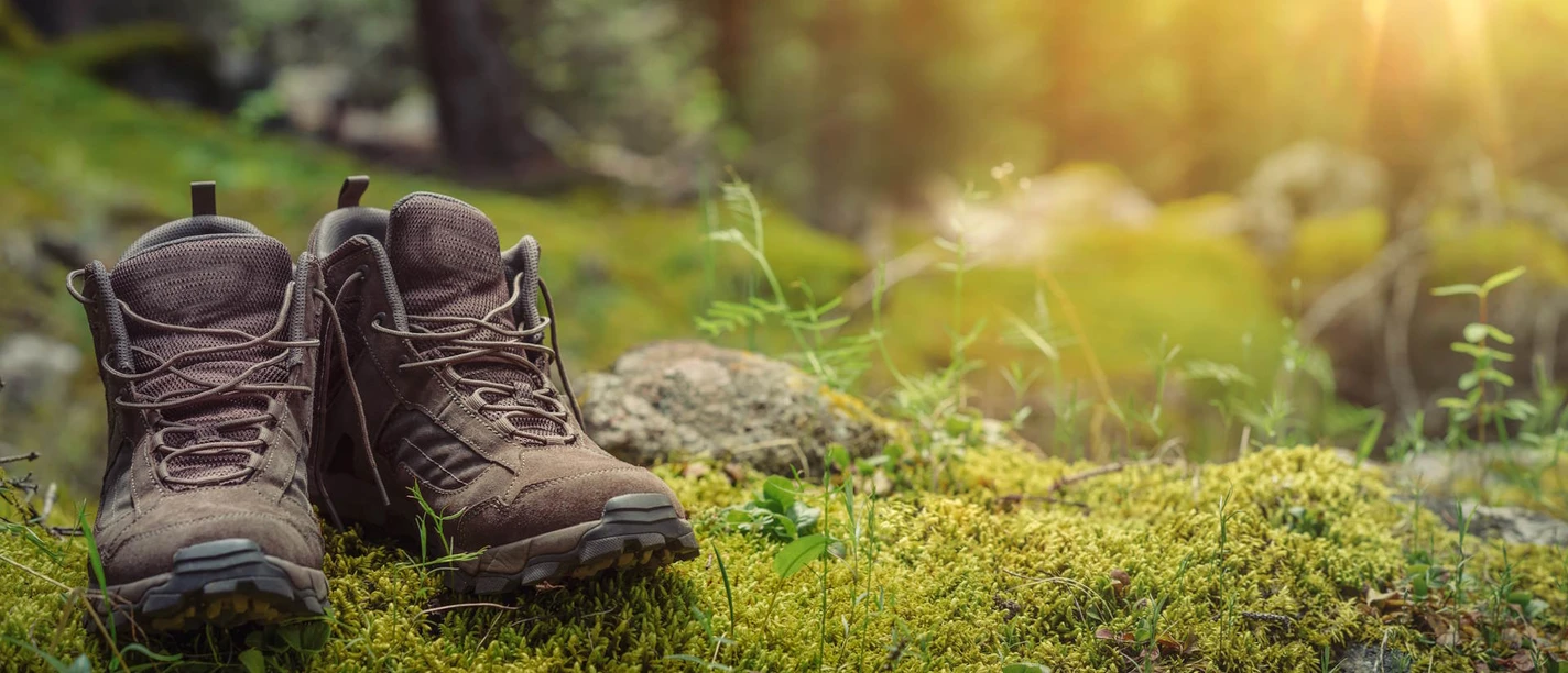 BSA_Wandern_Header_Schuhe im Wald_1920x1080©Lily_stock.adobe.com_213650248.jpg