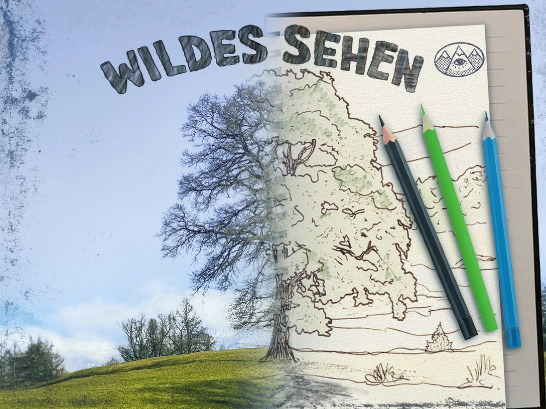 Wildes Sehen