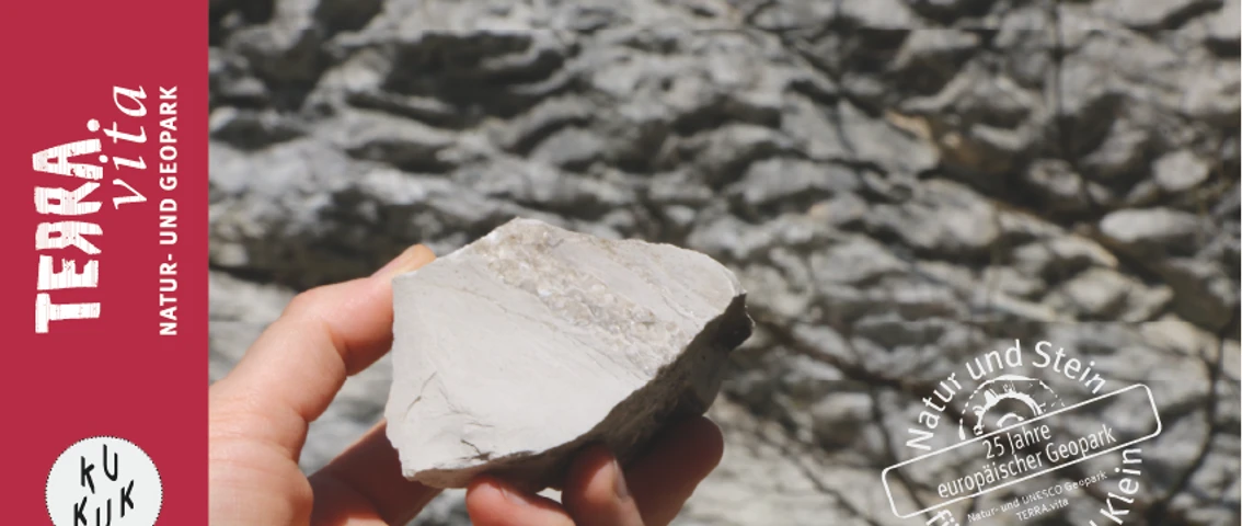 Steinbruch-Am Anfang war der Stein