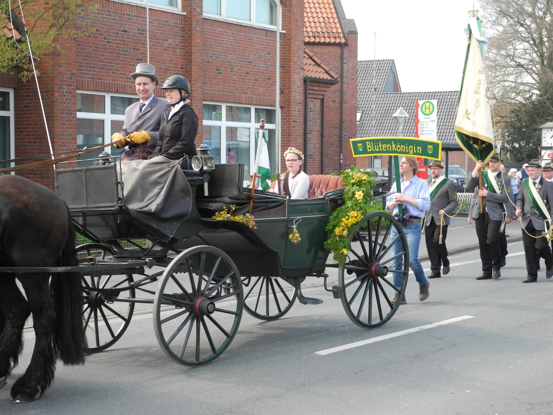 Blütenfest, Blütenkönigin in Kutsche (Wolfgang Hilbig).JPG