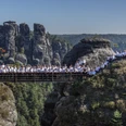 Bergfinken Felsenburg Bastei