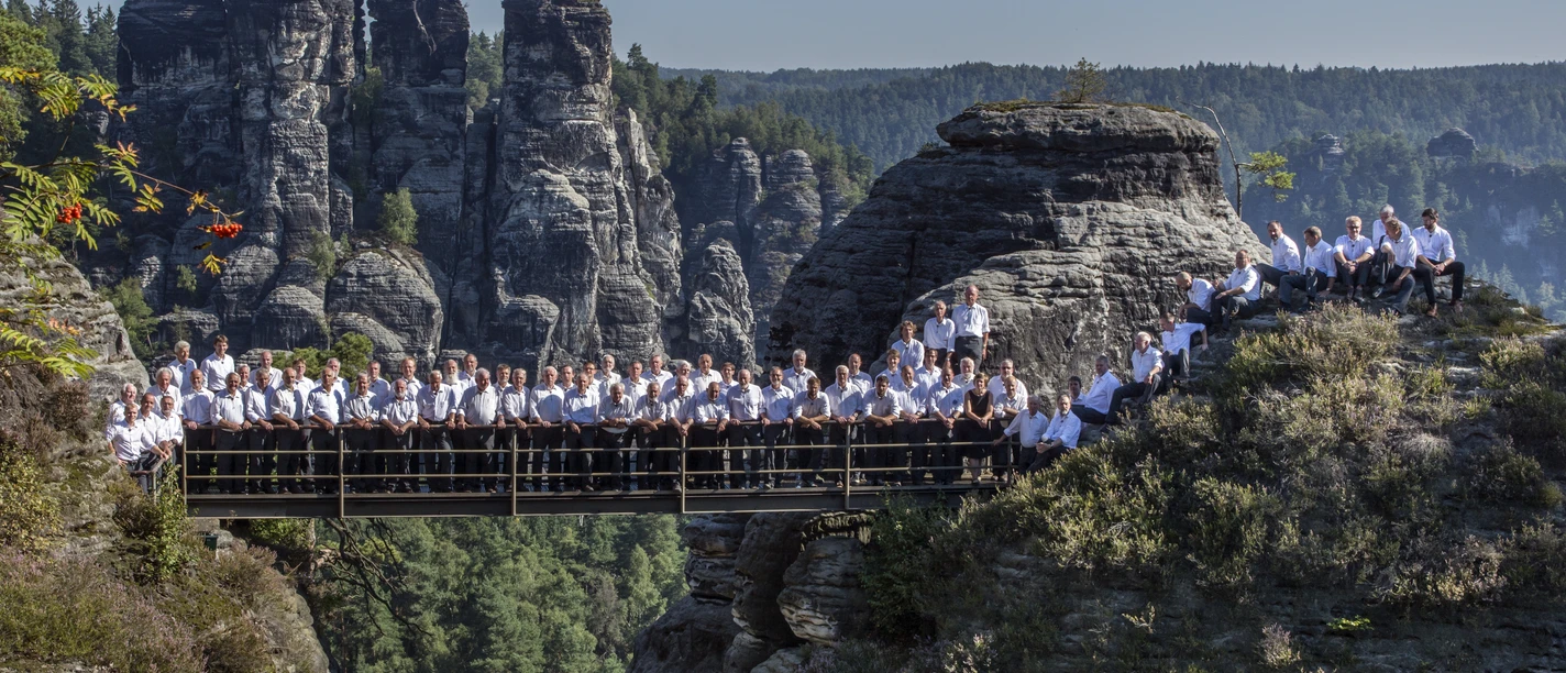 Bergfinken Felsenburg Bastei