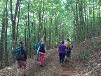 Waldbaden1_es geht los.jpg