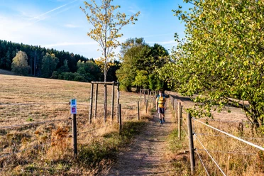 Sommerliche Wanderung entlang der Felder im Hochwald Großregion 2
