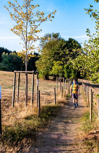 Sommerliche Wanderung entlang der Felder im Hochwald Großregion 2